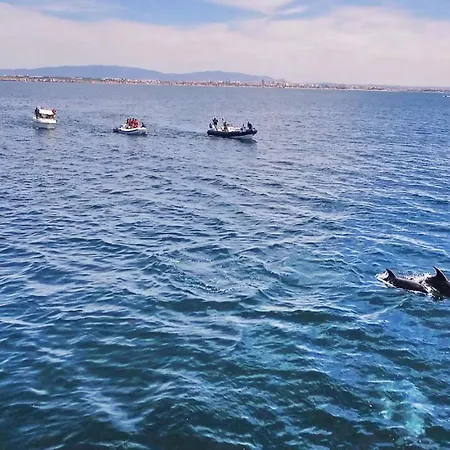 Casa de Férias Royal By Algarve Vacation *