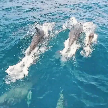 Royal By Algarve Vacation